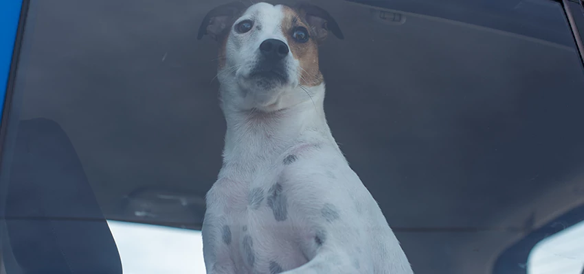 Car Lockout Solutions in Rio Vista, California